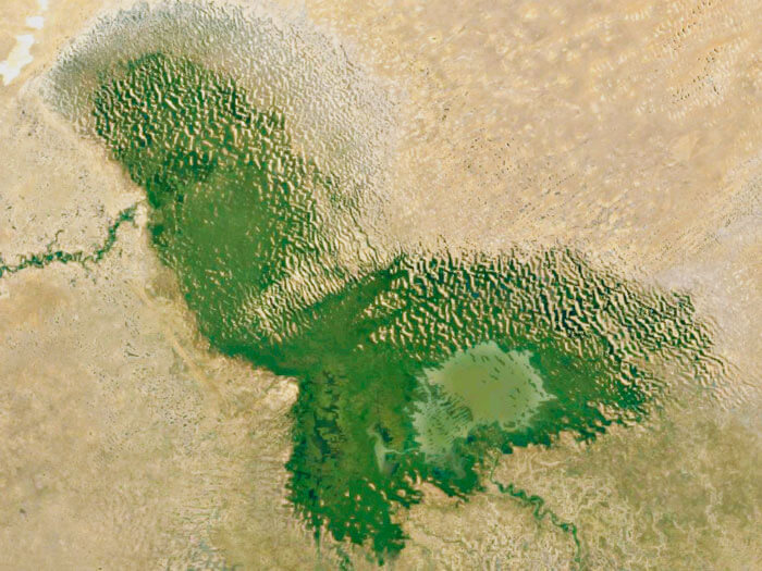 Lac Tchad