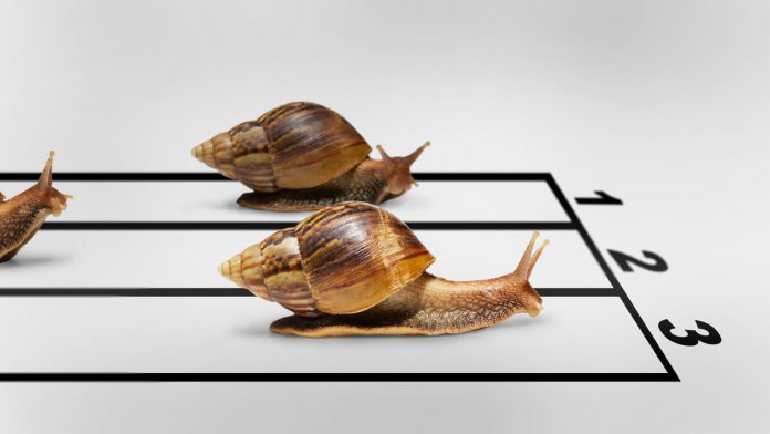 Escargot