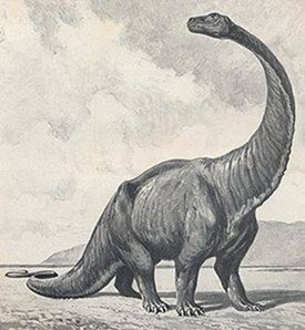 tout sur les dinosaures