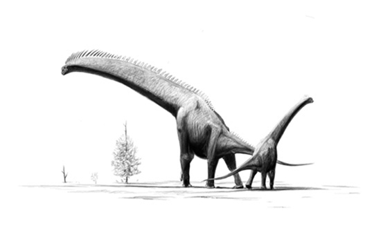 Le plus grand dinosaure
