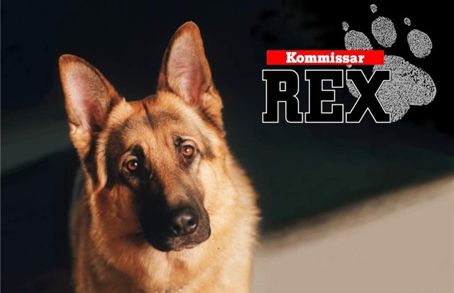 Commissaire Rex