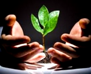 Top 4 des secrets d'une entreprise rentable et prospère