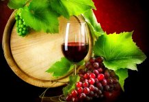 Les plus vieux vins du monde