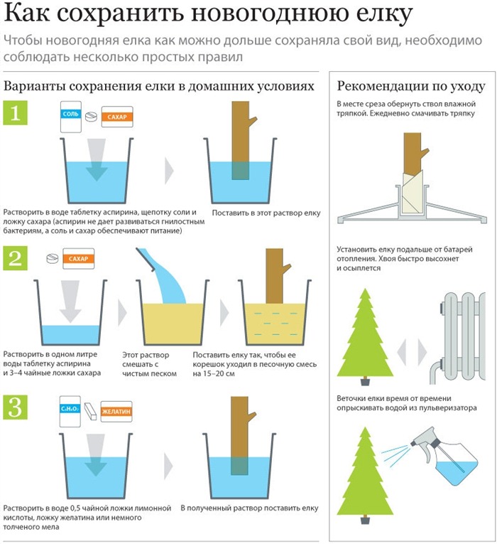 Comment sauver un arbre de Noël (infographie)