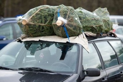Comment ramener un arbre de Noël à la maison