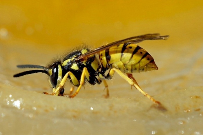 2og0y5aq
