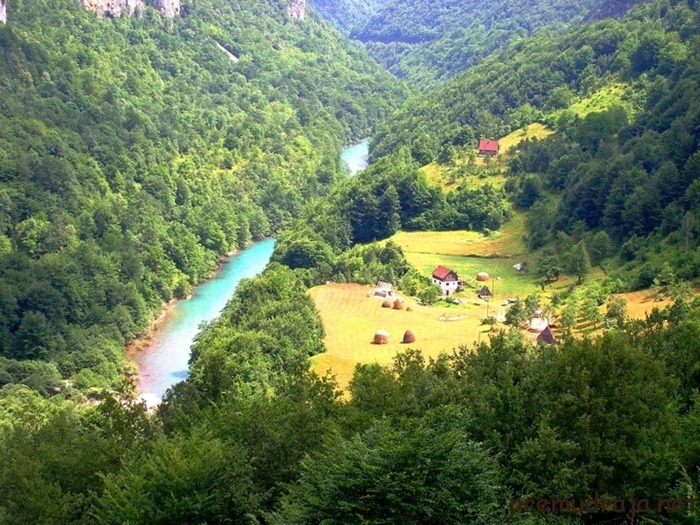 Becici