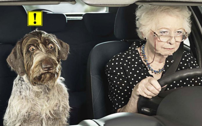 nouveau pilote