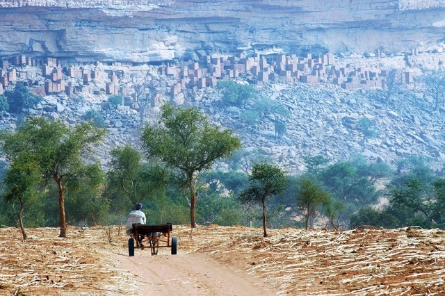 Terre Dogon