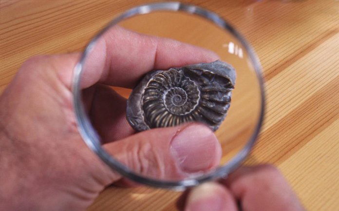 Archéologie