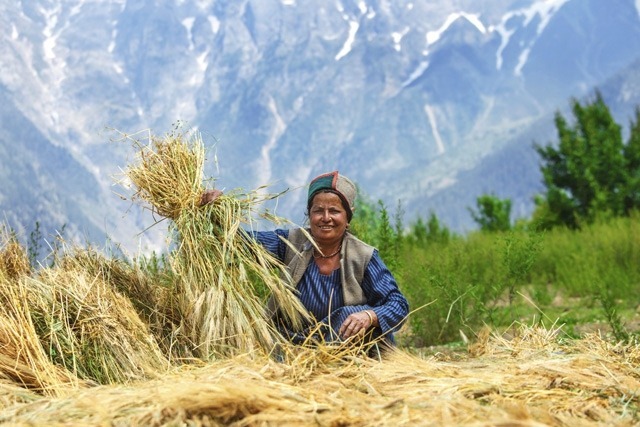 Himalaya indien