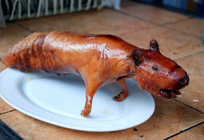 nejdvxdh