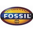 Fossile