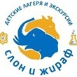 p2iqdizk p2iqdizk