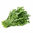 Roquette pour perdre du poids