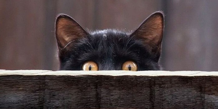 Superstition