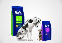 Évaluation de la nourriture pour chiens premium - 2018