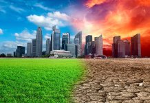 Top 5 des maladies mortelles dues au réchauffement climatique