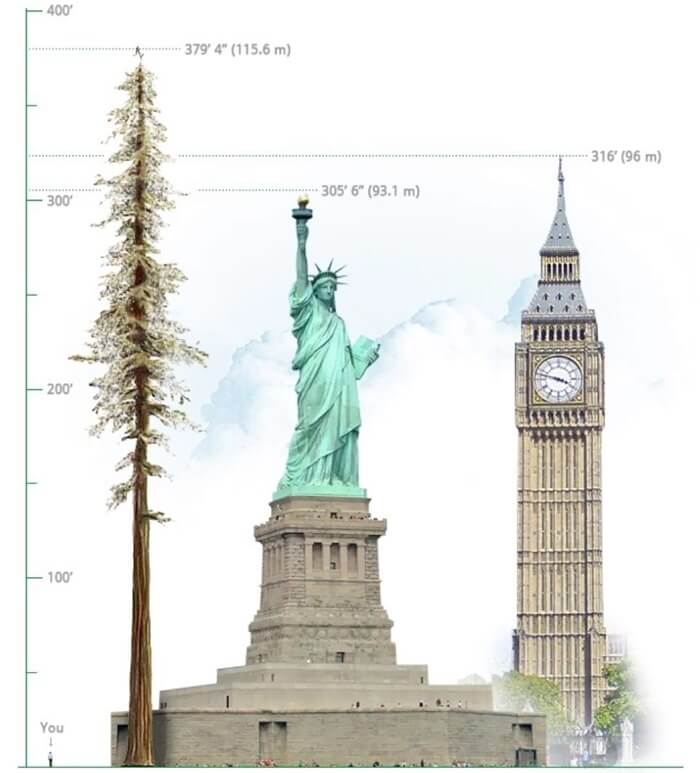 Comparaison de hauteur