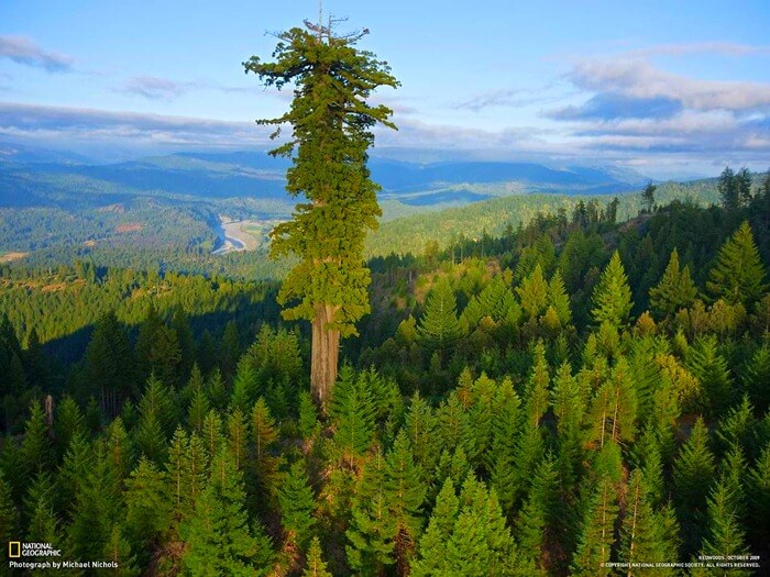 Mendocino
