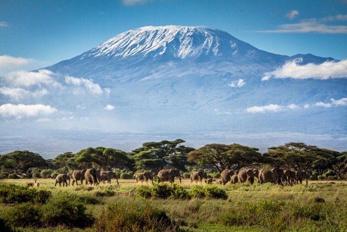 Kilimandjaro