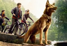 Top 10 des meilleurs films sur les animaux, liste des meilleurs