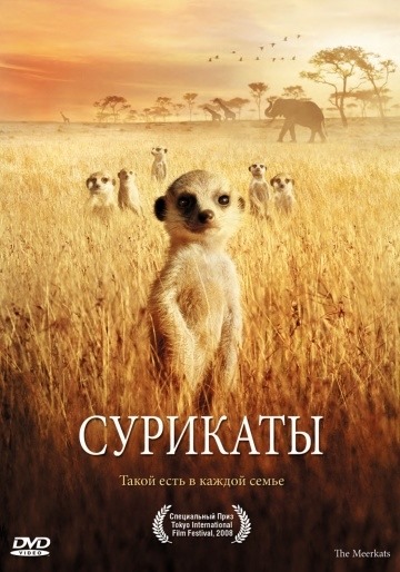 Suricates (2007)