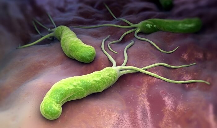 Helicobacter pylori