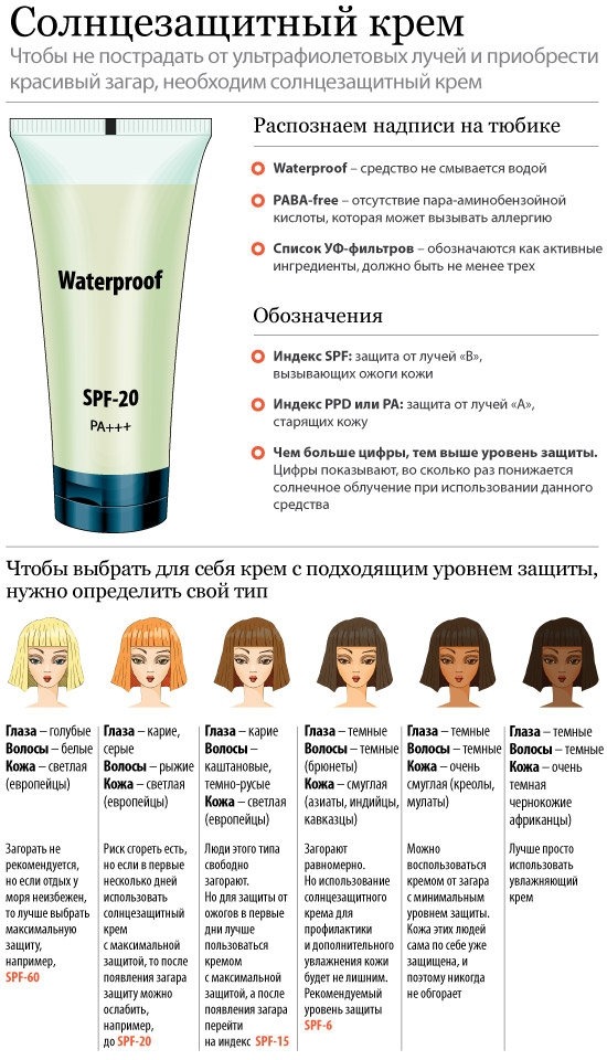 Infographie