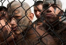Les villes les plus dangereuses du monde, les 10 plus criminelles