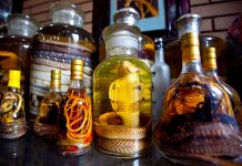 Les boissons alcoolisées les plus insolites