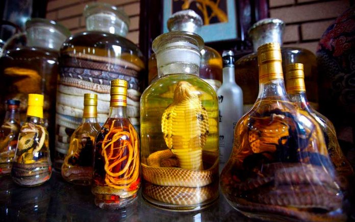 Les boissons alcoolisées les plus insolites