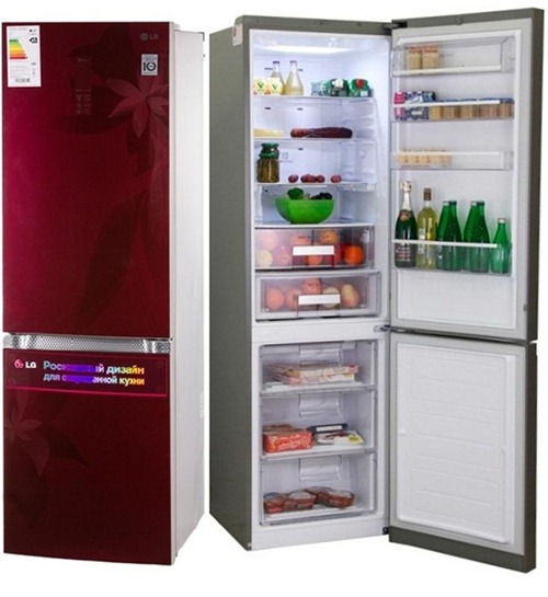 Magnifique réfrigérateur LG GA-B489 TGRF