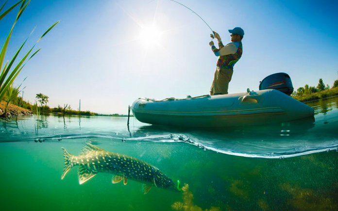 Évaluation des wobblers pour le brochet 2017