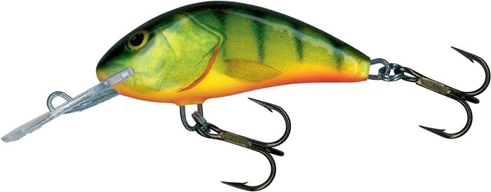 SALMO Hornet