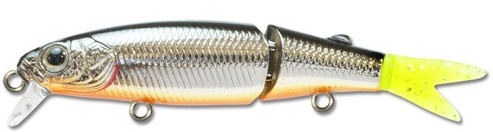 dzckey55