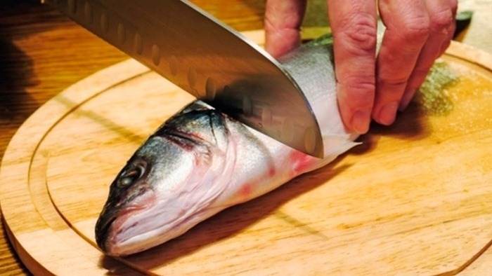 Le poisson a tué le pêcheur