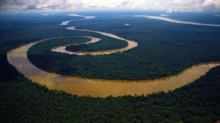 Amazone