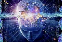 Les caractéristiques humaines les plus inexpliquées Les caractéristiques humaines les plus inexpliquées