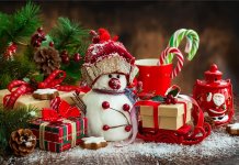 Cadeaux pour le Nouvel An 2018, 30 idées cadeaux Idées cadeaux pour le nouvel an 2018
