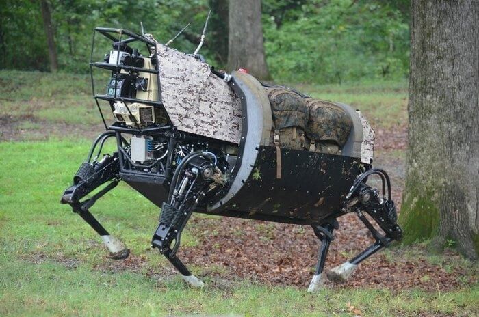 Chien robot