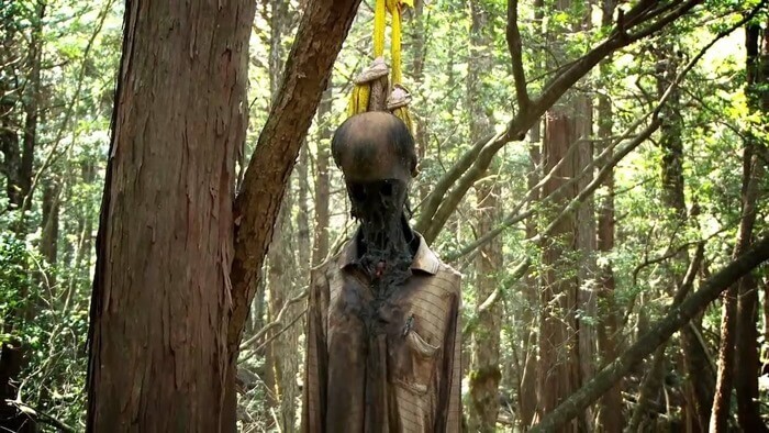 Aokigahara