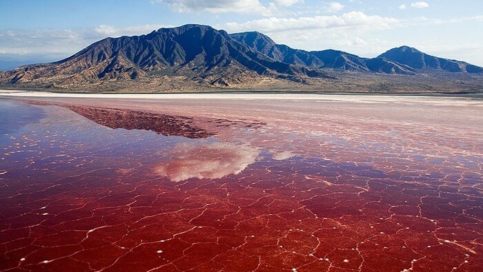 Lac Natron, Tanzanie