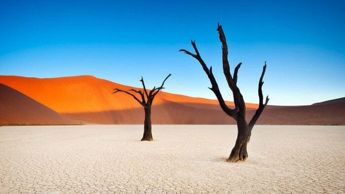Dead Vlei, Namibie