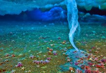 Les phénomènes naturels les plus étonnants de l'hiver