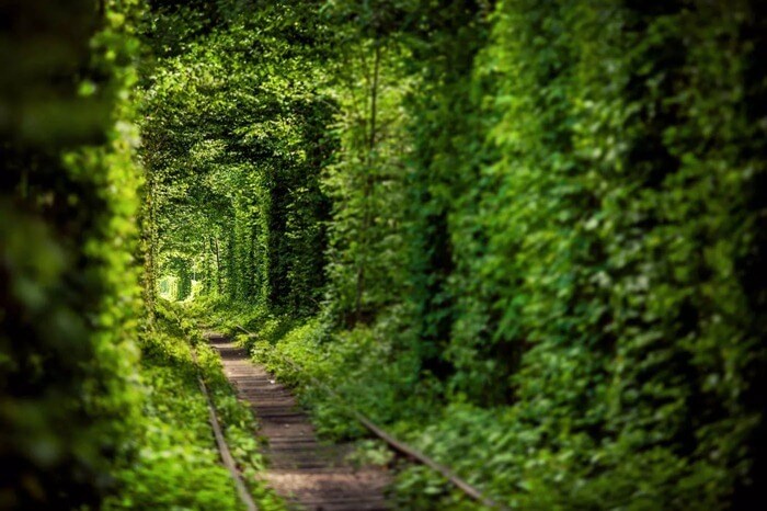 Tunnel de l'amour, Ukraine