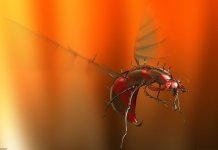 Top 10 des produits anti-insectes créatifs