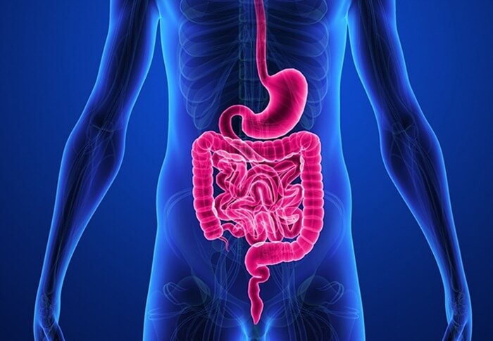 Gastroentérologie