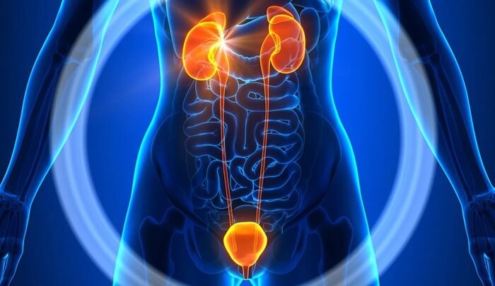 Urologie