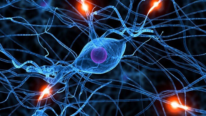 Neurologie